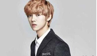 鹿晗网红爆料事件视频,揭秘娱乐圈背后真相  第1张